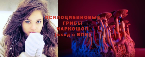 амф Абинск