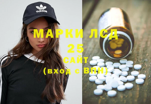 амф Новодвинск