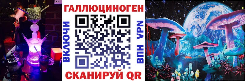 Галлюциногенные грибы Psilocybe  Жердевка 