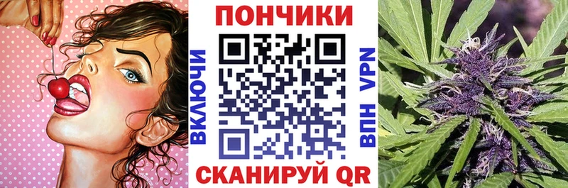 МЕГА   закладки  Жердевка  Конопля сатива 